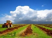 Agriculture 2