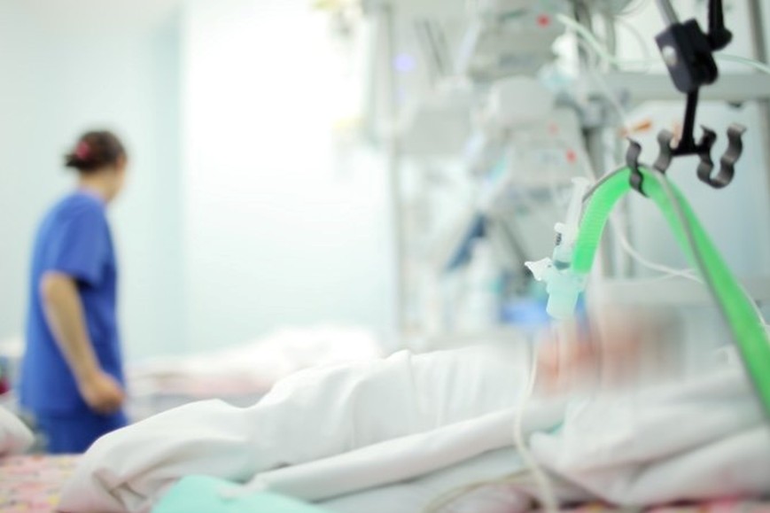 fin de vie article.15 01 2026 jpg